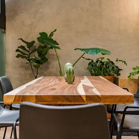 Escandon Suites By Escajal Rooms مدينة مكسيكو المظهر الخارجي الصورة